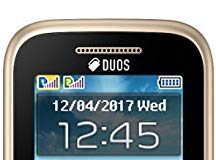 Samsung Guru Music 2