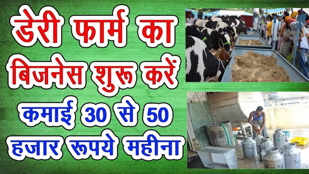 dairy milk shop business plan in hindi