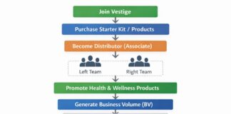 Vestige Business Plan 2026