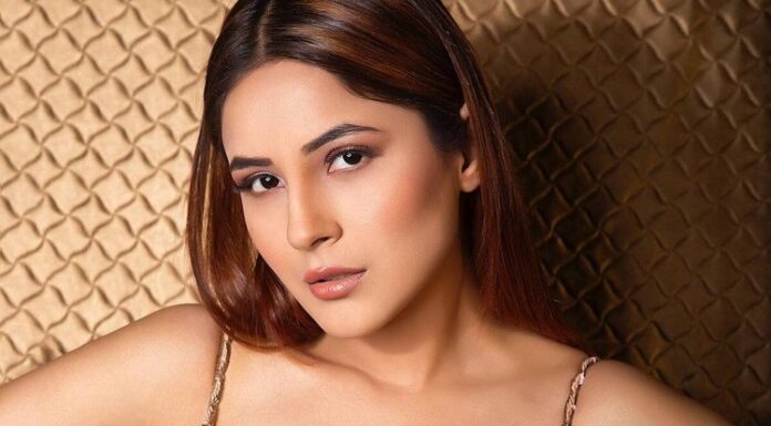 Shehnaaz Gill Biography, Age, Height, Model and Boyfriend