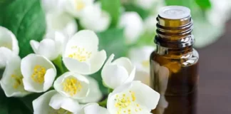 Jasmine Oil Benefits and Side Effects