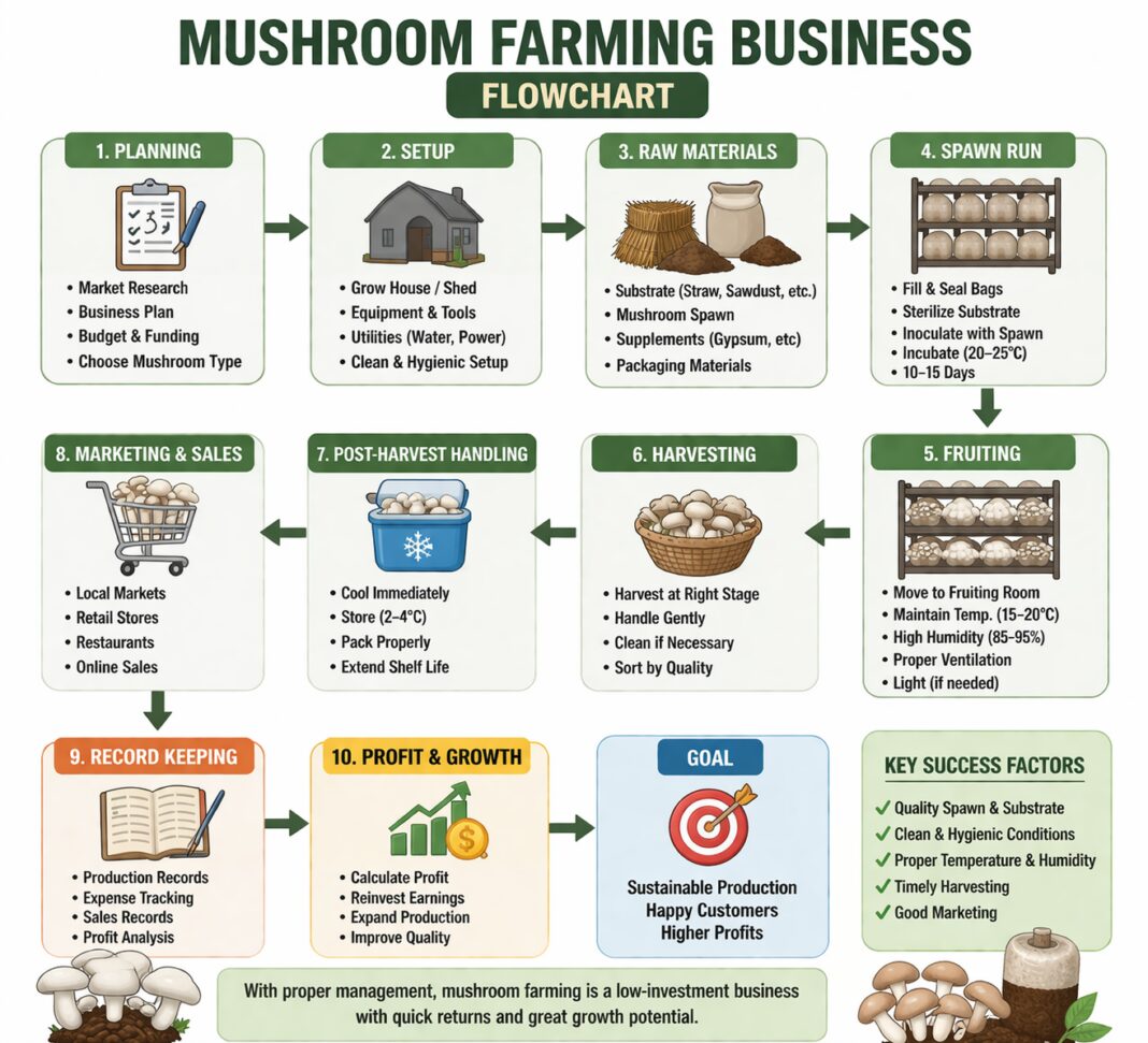 Mushroom Farming Business (Low Investment & Setup Cost)
