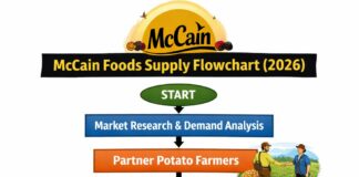 McCain Foods Franchise Cost in India (Investment & How to Apply)