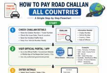 How to Pay Road Challan in Every Country (Official Government Link)