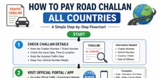 How to Pay Road Challan in Every Country (Official Government Link)