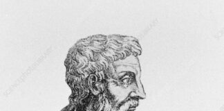 Pedanius Dioscorides Biography in Hindi