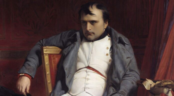 Napoleon Biography in Hindi