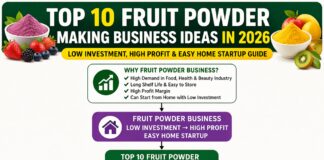 Top 10 Fruit Powder Making Business Ideas (Low Investment & High Profit)