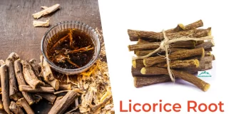 Top 10 Health Benefits of Licorice Root