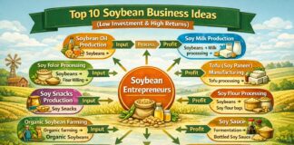 Top 10 Soybean Business Ideas (Low Investment & High Returns) Top 10 Soybean Business Ideas (Low Investment & High Returns)