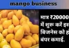 Mango Pulp Plan in Hindi