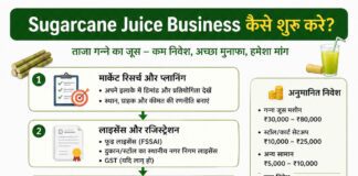 Sugarcane Juice Business कैसे शुरू करे Sugarcane Juice Business