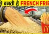 French Fries Business plan in Hindi