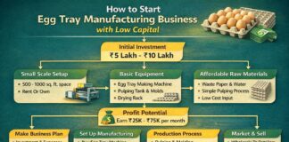 Egg Tray Manufacturing Business (Low Investment & Machine Cost)