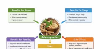 Ashwagandha Benefits for Stress, Sleep & Fertility, Uses & Side Effects