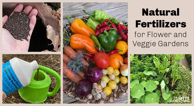 fastnews Natural Fertilizers in hindi