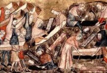 Black Death Causes, Symptoms & Impact in 1347