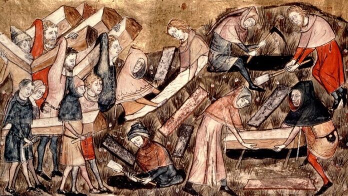 Black Death Causes, Symptoms & Impact in 1347