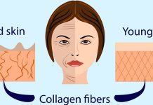 Collagen Benefits s