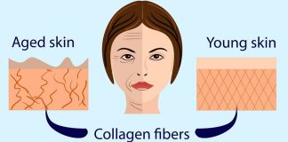 Collagen Benefits s