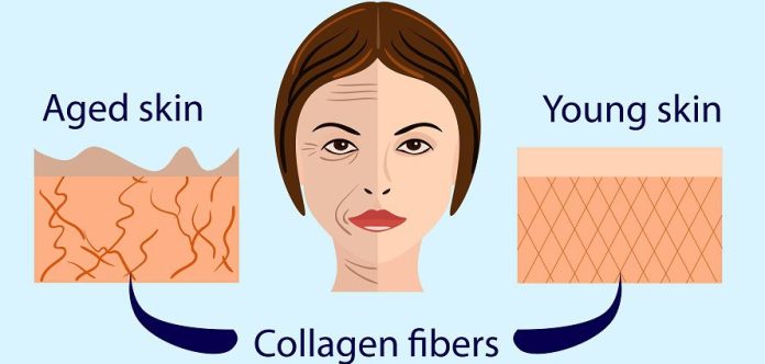 Collagen Benefits and Side Effects Collagen Benefits s