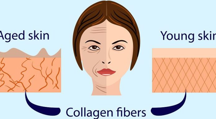 Collagen Benefits s