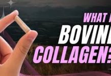Benefits of Bovine Collagen