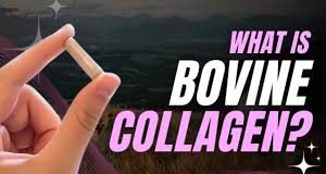Benefits of Bovine Collagen