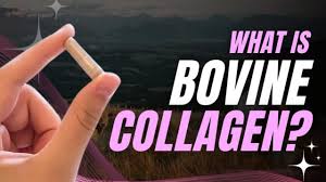 Benefits of Bovine Collagen