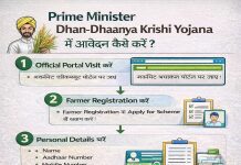 How the Prime Minister Dhan Dhaanya Krishi Yojana