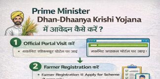 How the Prime Minister Dhan Dhaanya Krishi Yojana