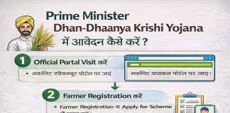How the Prime Minister Dhan Dhaanya Krishi Yojana Empowers Farmers in India How the Prime Minister Dhan Dhaanya Krishi Yojana