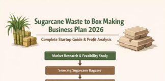 How to Start Sugarcane Waste Box Manufacturing Business